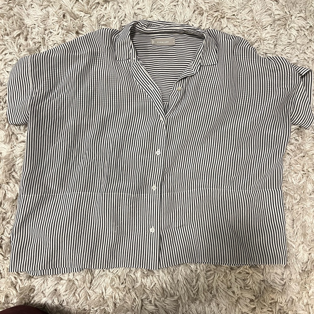 Everlane Black and White Striped Silk Shirt